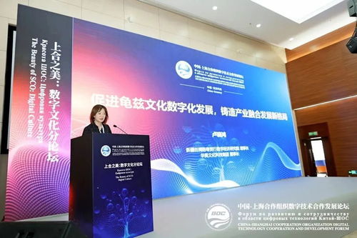 上合之美，數字賦能 推動龜茲文化數字化發展，打造產業融合新格局